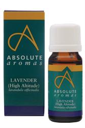 Absolute Aromas Lavender (High Altitude) Oil 10ml