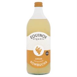 Equinox Kombucha Equinox Organic Ginger Kombucha 750ml
